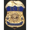 DEPARTMENT OF HOMELAND SECURITY ICE AIR MARSHAL REPLICA MINI PIN